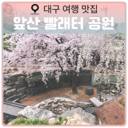 24년 4월 대구 벚꽃 명소 꼭 가볼 만한 곳 앞산 빨래터 공원