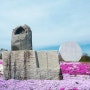산청 가볼만한곳 산청꽃잔디축제 생초 국제조각공원