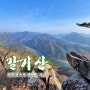 영동 갈기산 등산코스 & 금산 월영산 출렁다리 알차게 여행