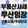 부산 여행 중 아파트가격 엿보기 - 해운대엘시티, 마린시티, 동백역, 부산영도 시세, 부산임장