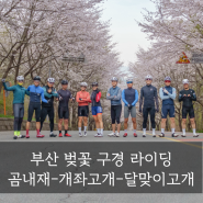 [TEAM JRB] 부산 벚꽃 구경 라이딩 : 곰내재-개좌고개-달맞이고개