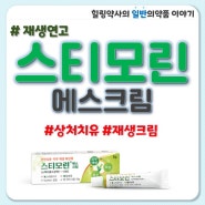 스티모린 스티모린 에스크림 연고 약국 재생연고 재생크림 효능 효과 사용법 부작용 가격