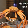 대전 무한리필 맛집 산지 직송 홍게 갈마동 게판오분전