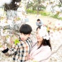 일산 호수공원 놀이터에 아이와 함께 마지막 벚꽃 구경하러 왔어요