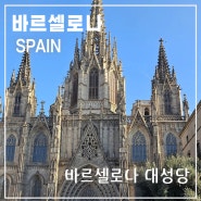 스페인 여행 바르셀로나 대성당 가는 방법과 입장료
