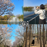 서울숲 놀거리 벚꽃축제 벚꽃길이 너무 예뻐요