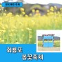 예천 회룡포 봄꽃축제 주차장 유채꽃 청보리