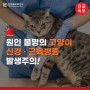 [필독] 원인 불명의 고양이 신경, 근육병증 발생주의