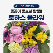 꽃꽂이 동호회 "로하스 플라워" 첫 활동, 꽃바구니 만들기!