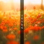 서울숲공원 튤립 4월 11일의 기록
