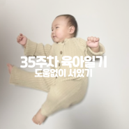 [8개월 아기 육아일기] 246일 ~ 252일 : 서 있는 게 좋아