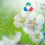 [김포호흡기내과] 봄 알레르기 유형과 예방하는 생활습관
