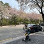 일원에코파크 강남구식물원 일원동 공원 즐기기 대청역 벚꽃길