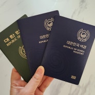 용인시 처인구 여권 신규, 재발급