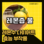 레몬즙 물 레몬수 다이어트 효능 부작용
