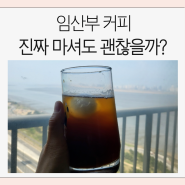임산부 카페인 콜라 초콜릿 하루 권장량 / 둘째 맘의 임신 극초기 커피