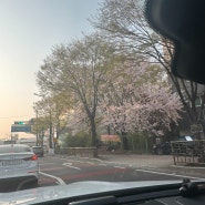 [신혼일기] 4월 첫째주 일상기록 : 의천각 / 수지마리아 / 대만지진 / 타이중여행