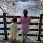안동 월영교 아이들과 함께 벚꽃 나들이 민속박물관 찜닭