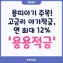 [육아일기] 용띠아기 주목! 고금리 아기적금, 연 최대 12% (feat.용용적금)