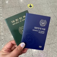 여권 기간 만료 재발급, 온라인 신청 방법 비용 준비물(천안시청)