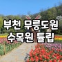 부천 무릉도원 수목원 튤립,벚꽃 가볼만한곳 아이와 서울근교 갈만한곳