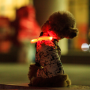 야간산책 굿 아이템 야광발광 USB충전 방수 LED 애견펜던트 :: 대중소형견 강아지용품전문점 댕냥이라이프펫마트