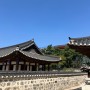 남산골 한옥마을 봄나들이 산책길 - 고즈넉한 전통정원과 한옥 [서울 충무로 가볼만한 곳]
