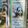 일본 판다 샹샹, 도쿄 우에노 동물원에서 보고 온 추억 + 푸바오 잘있니?
