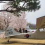서울근교 동두천 벚꽃명소 자유수호평화박물관 낮, 야간개장 주말에 가볼만한곳