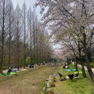 [오산] 봄 나들이 하기 좋은 _'물향기 수목원' ( 주차팁,입장료)