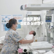 신생아 황달 광선 치료 받고 실비 청구 (입원 3일)
