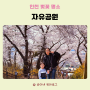 인천 자유공원 아이와 함께 가기 좋은 벚꽃명소, 역사공부, 주차장 정보