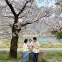 가평 벚꽃 대성리 국민관광지
