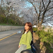 신시모도 벚꽃 스쿠터 데이트 :: 가는법 배시간 인천 당일치기 여행