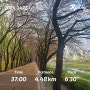 [운동] 런데이 일상 : 30분 달리기 도전 6주차