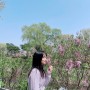 [경기/수원/행궁동]피크닉명소 <<방화수류정>> 산책과 꽃메들리 2