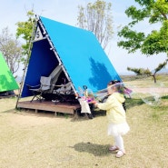 경산 아이와 삼성현공원 텐트 벚꽃구경했어요