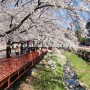 에덴벚꽃길벚꽃축제-상천휴게소벚꽃축제-가평에덴벚꽃길축제