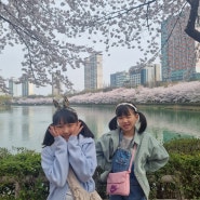두 아이와 잠실 석촌호수 벚꽃축제, 도토리숲 나들이