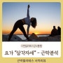 수원필라테스강사홍쌤(홍필라테스) - 근막경선해부학서적 요가 "삼각자세" 근막분석 리뷰