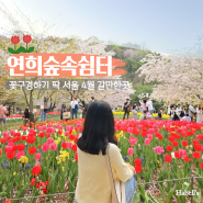서울 연희숲속쉼터 안산 벚꽃길 튤립 꽃구경 4월 5월 놀러 갈만한곳