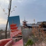 [오사카 여행] 교토 당일치기 일일투어: 여행 한 그릇 추천/ 아라시야마, 금각사, 청수사, 여우신사/ 응커피 앱 실패