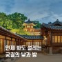 2024 봄 궁중문화축전 궁궐의 낮과 밤