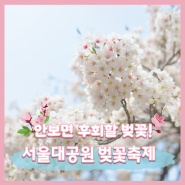 힐링과 감성이 충만했던 서울대공원 벚꽃 축제 모음 ZIP