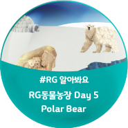[모여라! RG 동물농장] Day 5. Polar Bear(북극곰) : Polar Bears / 'Bear'가 들어간 영어표현