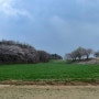 충남 당진 여행 여행코스 가볼만한 곳 맛집 카페