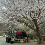 마장호수캠핑장 애견동반, 벚꽃캠핑 가능한 뷰 좋은 캠핑장 추천 기산캠프