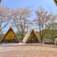 벚꽃과 함께 캠핑 느낌을 낼 수 있는 대전 유성 고기집 바베큐팩토리