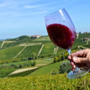 생산량 세계 최고의 와인 대국-이탈리아 3. 피에몬테
