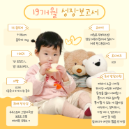 19개월 20개월 아기 발달 언어 재접근기 훈육 장난감 놀이